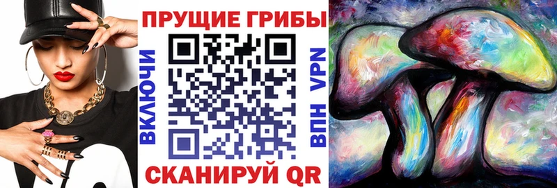 Псилоцибиновые грибы GOLDEN TEACHER  Купить  Нижние Серги 
