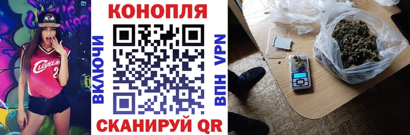 Купить закладки  Нижние Серги  Бошки Шишки сатива 